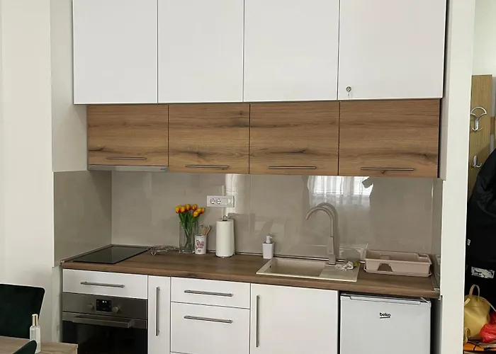 Zlatiborski Kutak 아파트